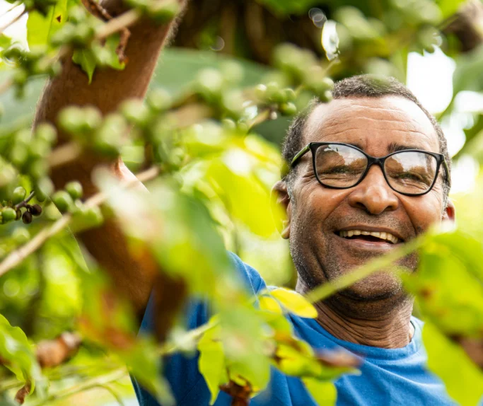 Homem sorridente usando óculos entre folhas verdes, mexendo em galhos de árvore.