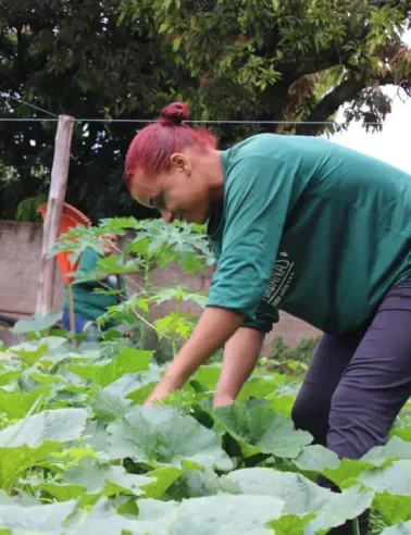 Mulher cuidando de plantas verdes em uma horta urbana ao ar livre.