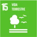 Ícone do Objetivo de Desenvolvimento Sustentável 15 da ONU: Vida Terrestre, com uma árvore branca sobre fundo verde e pássaros voando.