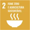 Ícone de um prato branco fumegante sobre fundo laranja com o texto '2 Fome Zero e Agricultura Sustentável' em português.