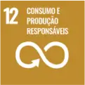 Ícone do Objetivo de Desenvolvimento Sustentável 12 da ONU, Consumo e Produção Responsáveis, com o número 12, texto em branco e símbolo de infinito em um fundo amarelo.