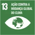 Ícone do Objetivo de Desenvolvimento Sustentável 13: Ação contra a mudança global do clima, com número 13 e ilustração de um globo terrestre dentro de um formato de olho.