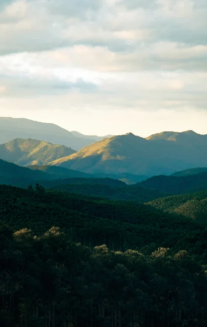 Montanhas cobertas por vegetação verde sob céu parcialmente nublado ao amanhecer.