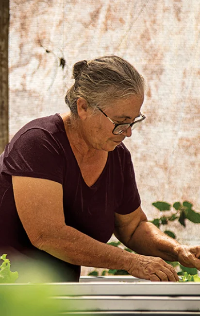 Mulher mais velha com cabelo grisalho preso e óculos arrumando plantas em uma horta.