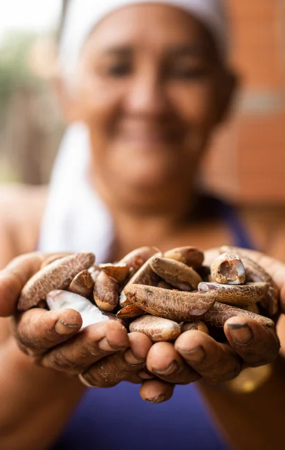 Pessoa segurando várias castanhas do Brasil nas mãos sujas de terra.