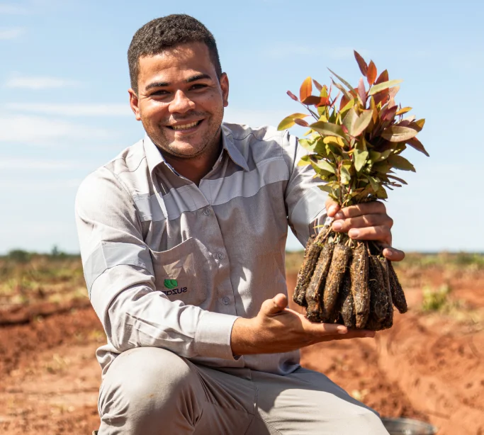 Homem sorrindo agachado em um campo aberto, segurando um conjunto de mudas com raízes cobertas de terra.