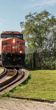 Locomotiva vermelha se aproximando em trilhos curvos com árvores ao fundo e céu claro.