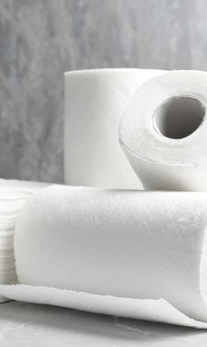 Rolos de papel higiênico brancos sobre superfície cinza com fundo desfocado.