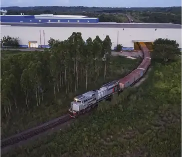 Trem de carga passando por área verde próxima a um galpão industrial.