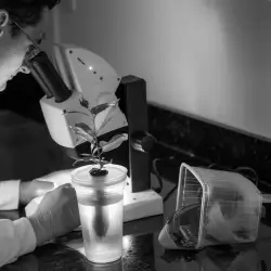Cientista usando microscópio enquanto manipula amostra em laboratório.
