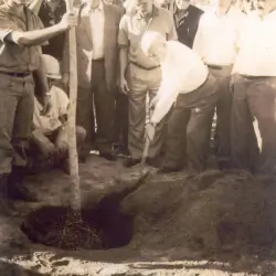 Foto em preto e branco de grupo de homens observando enquanto um homem enterra uma muda de árvore no solo.