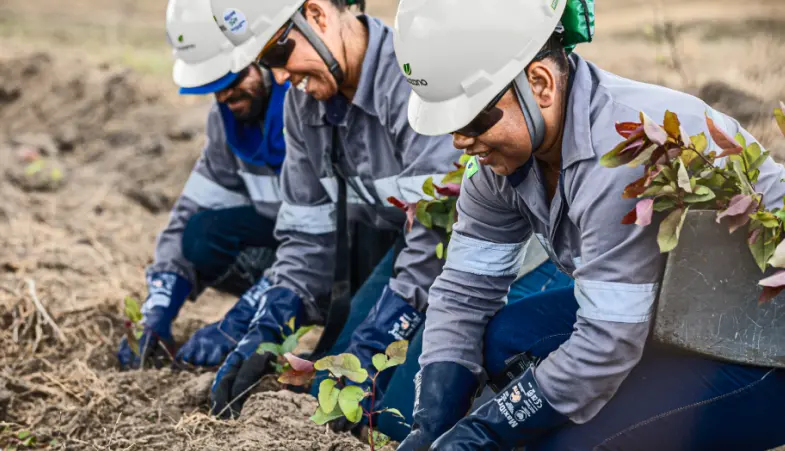 Três trabalhadores com capacete e luvas plantando mudas no solo em um ambiente externo.