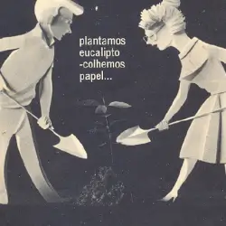 Ilustração preta e branca de homem e mulher plantando um eucalipto com a frase 'plantamos eucalipto - colhemos papel...'