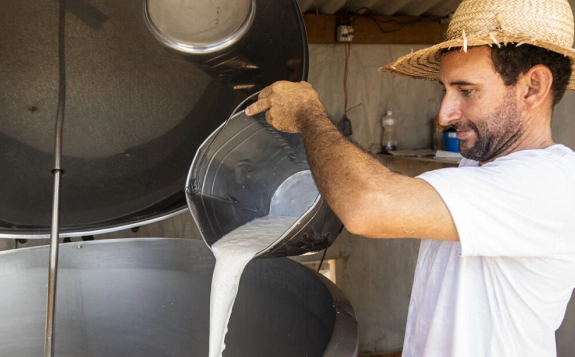 Homem com camisa branca e chapéu de palha despejando leite de um balde em um grande tanque metálico.