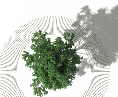 Vista aérea de uma árvore verde cercada por um padrão circular de linhas brancas sobre fundo preto.