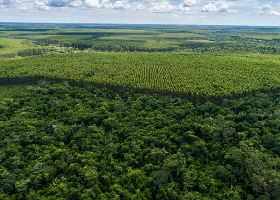 Vista aérea de uma vasta área de floresta densa com diferentes tonalidades de verde sob um céu parcialmente nublado.