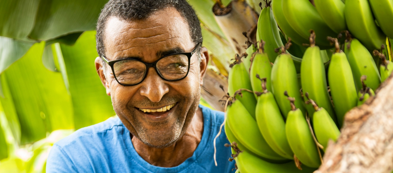 Homem sorridente com óculos perto de um cacho de bananas verdes em planta tropical.
