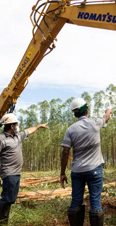 Dois trabalhadores florestais com capacetes apontam para uma escavadeira Komatsu em uma área de mata desmatada.
