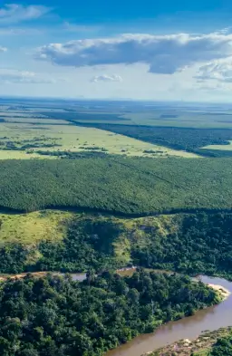 Vista aérea de uma paisagem com um rio sinuoso cercado por vegetação densa e campos verdes sob céu azul com algumas nuvens.