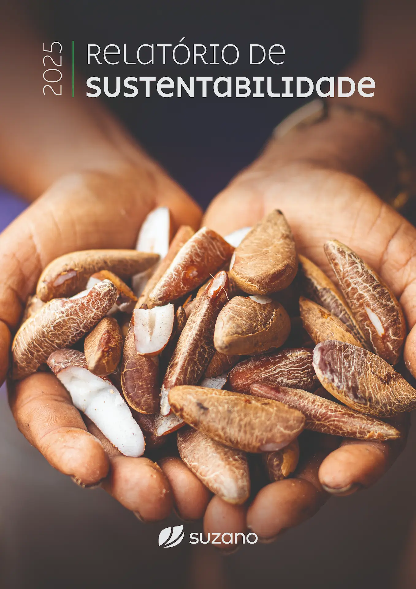 Mãos segurando sementes de castanha-do-pará com o texto Relatório de Sustentabilidade 2025 e o logo da �ڰ�������.