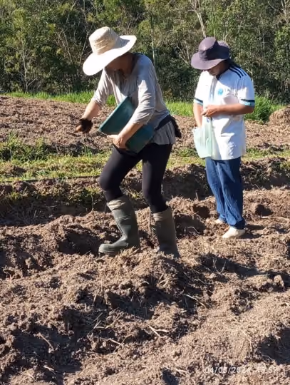 Duas pessoas na plantação preparando o solo para o cultivo sob luz natural.