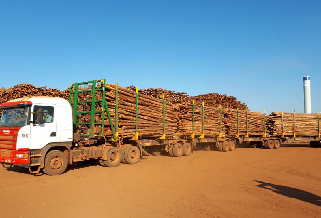 Suzano inova e cria modelo inédito de descarregamento de madeira em Mato Grosso do Sul