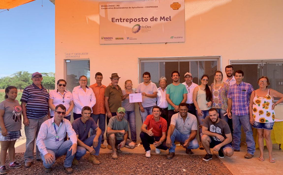 Entreposto de Mel em Brasilândia (MS) conquista certificação e amplia a comercialização
