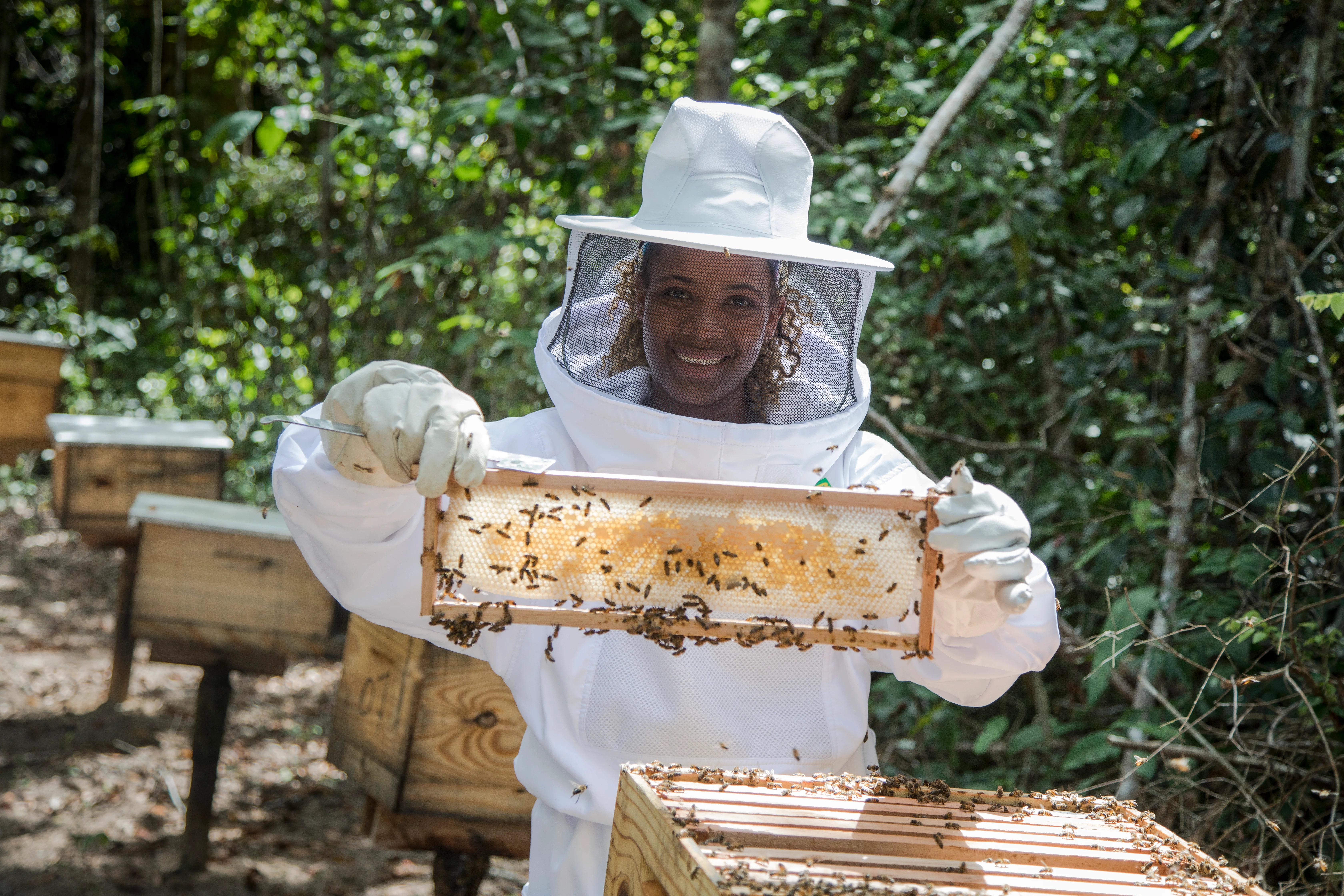 Associação apoiada pela Suzano registra recorde de produção de mel na Bahia