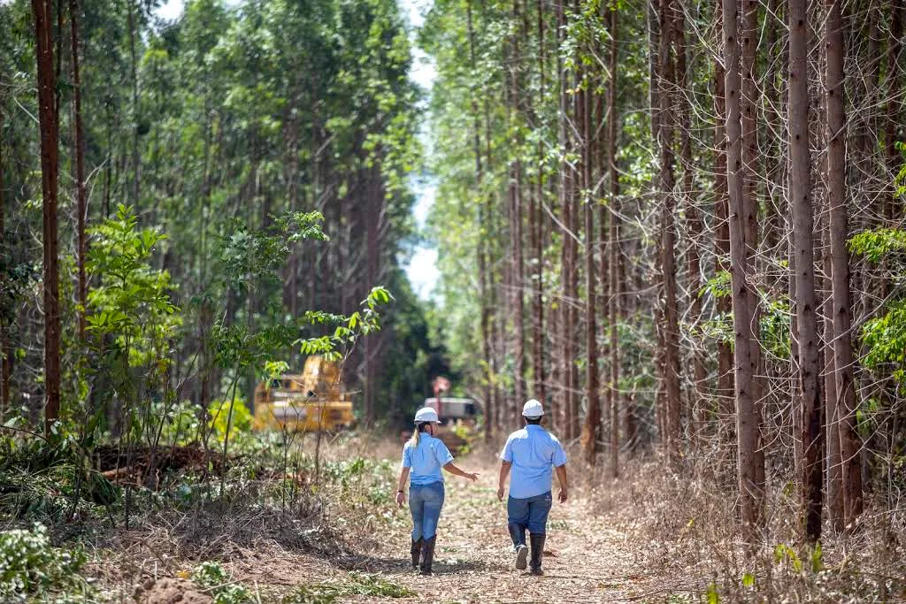 Suzano vence duas categorias do Prêmio Destaques do Setor 2020 da ABTCP