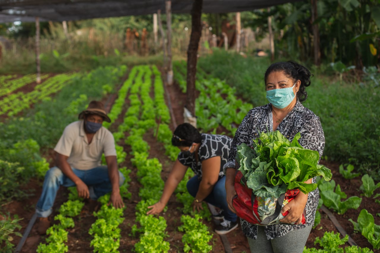 Produtores de Mato Grosso do Sul comercializam 113,5 toneladas de alimentos com apoio da Suzano