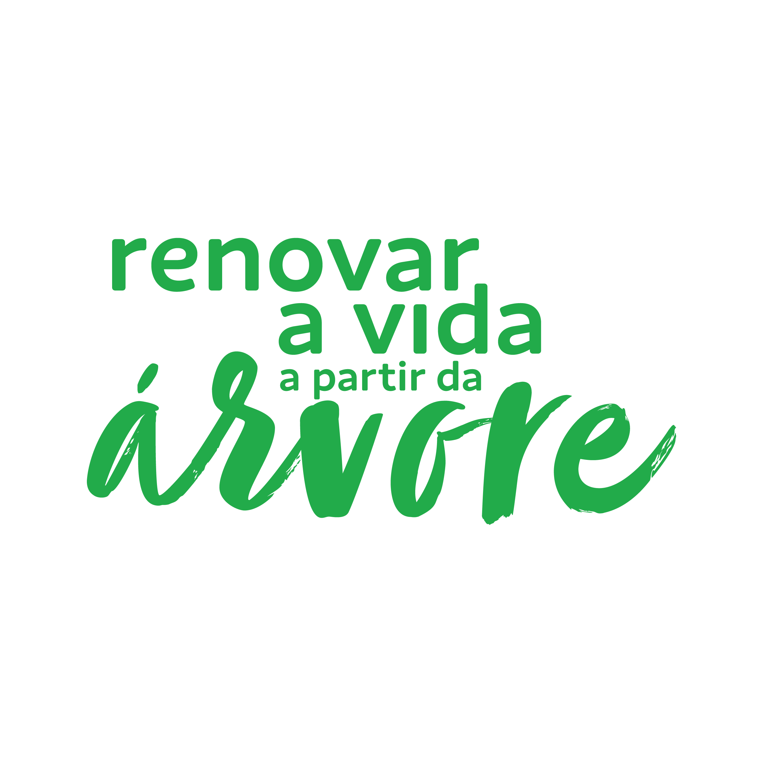 Suzano é eleita entre as 100 empresas de melhor reputação do Brasil