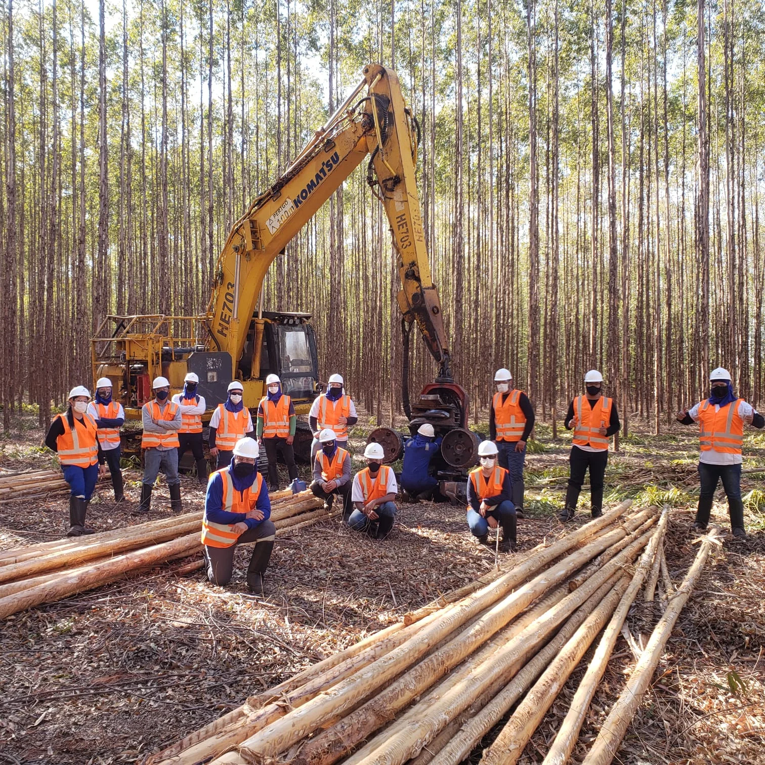 Senai oferece 78 vagas em curso de Operador(a) de Máquinas Florestais para atender demanda da Suzano em Ribas do Rio Pardo (MS)