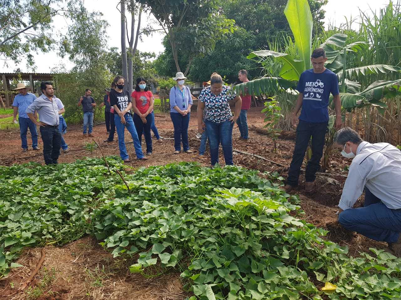 Em MS, agricultores familiares apoiados pela Suzano produziram 4.491 toneladas de alimentos agroecológicos em 2021