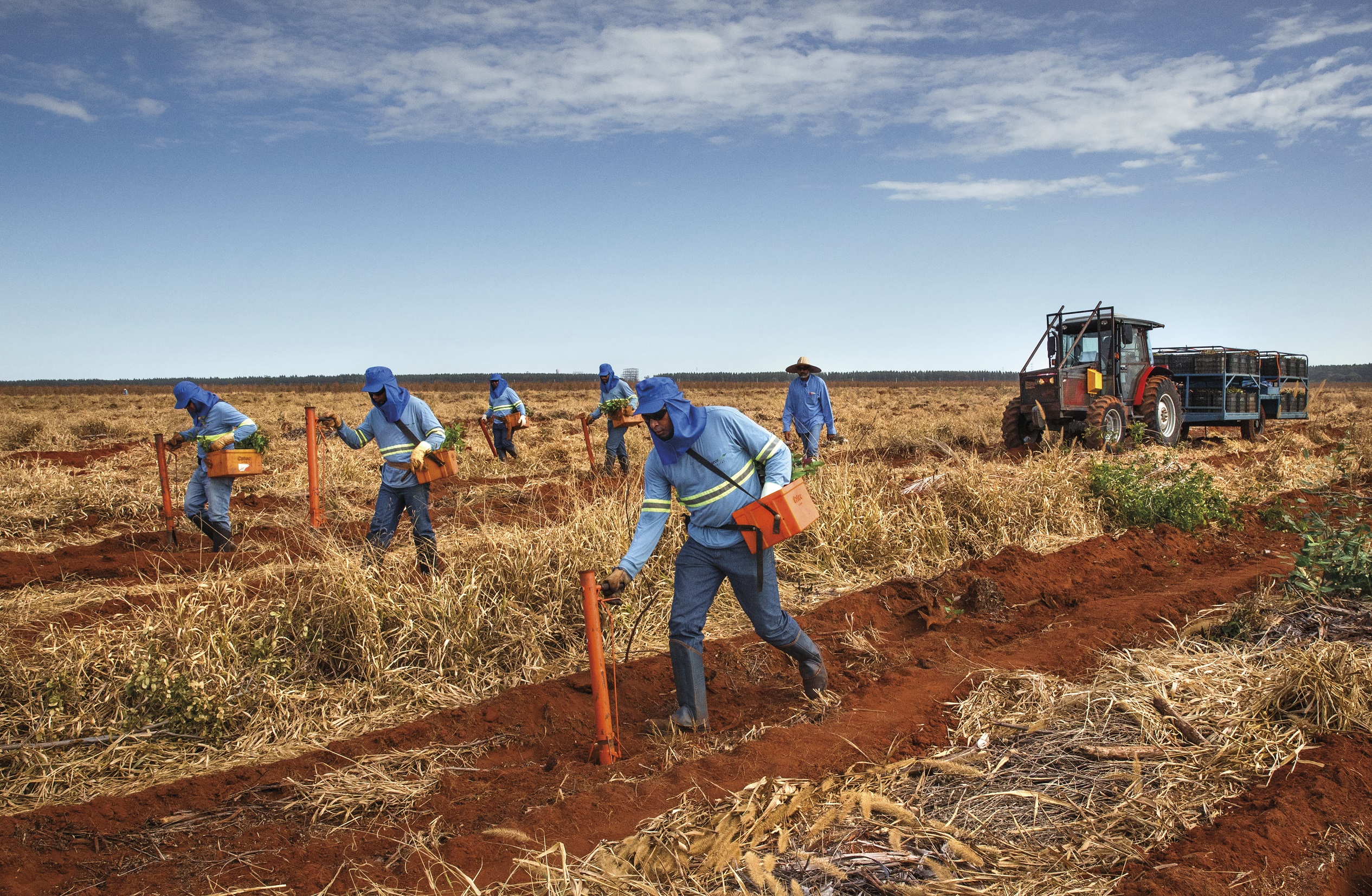 Suzano abre 20 novas vagas para suas operações florestais e industriais em Ribas do Rio Pardo (MS)