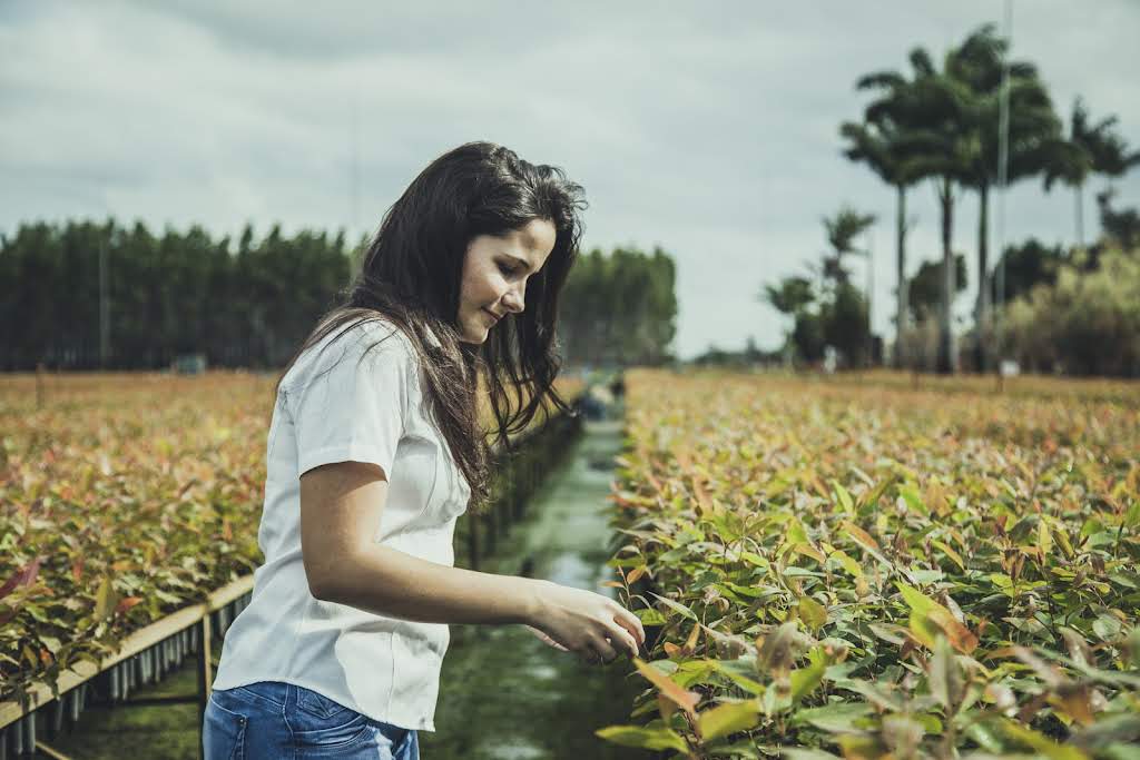 Suzano anuncia investimentos sociais que alcançam 15 mil pessoas no ES