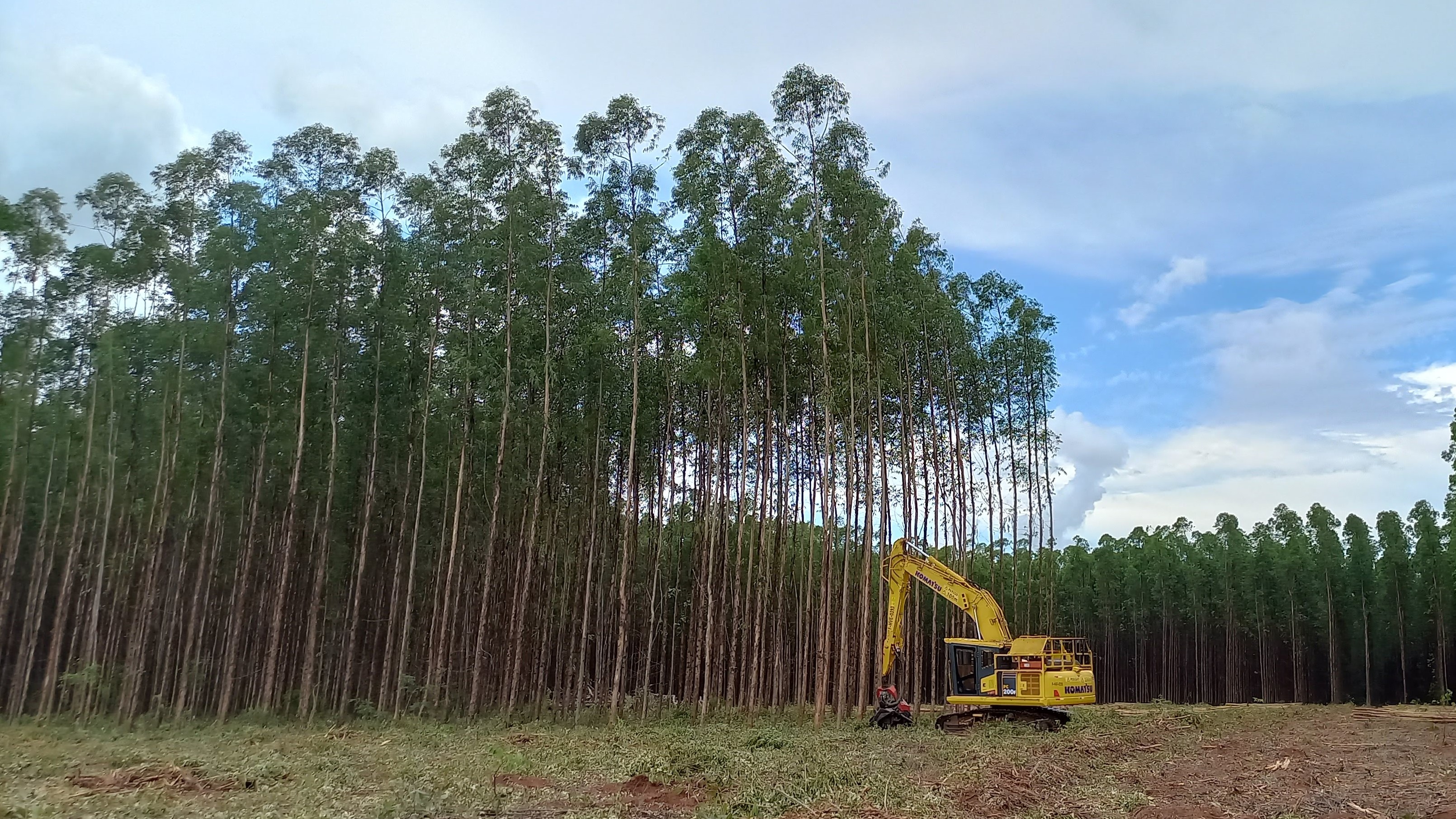 Suzano oferece 34 vagas de mecânica e mecânico de máquinas florestais para atuar na colheita de eucalipto em Ribas do Rio Pardo (MS)