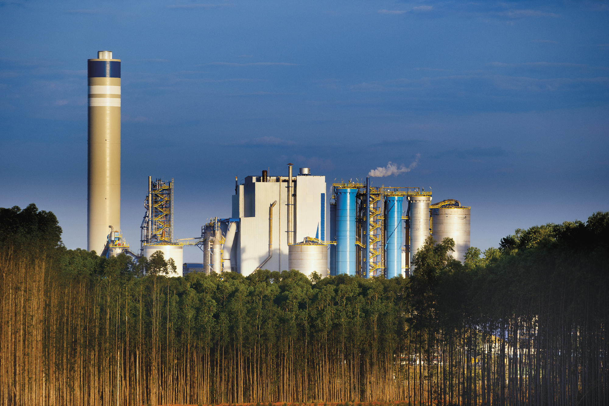 Suzano registra geração de caixa operacional recorde de R$ 22,6 bilhões em 2022