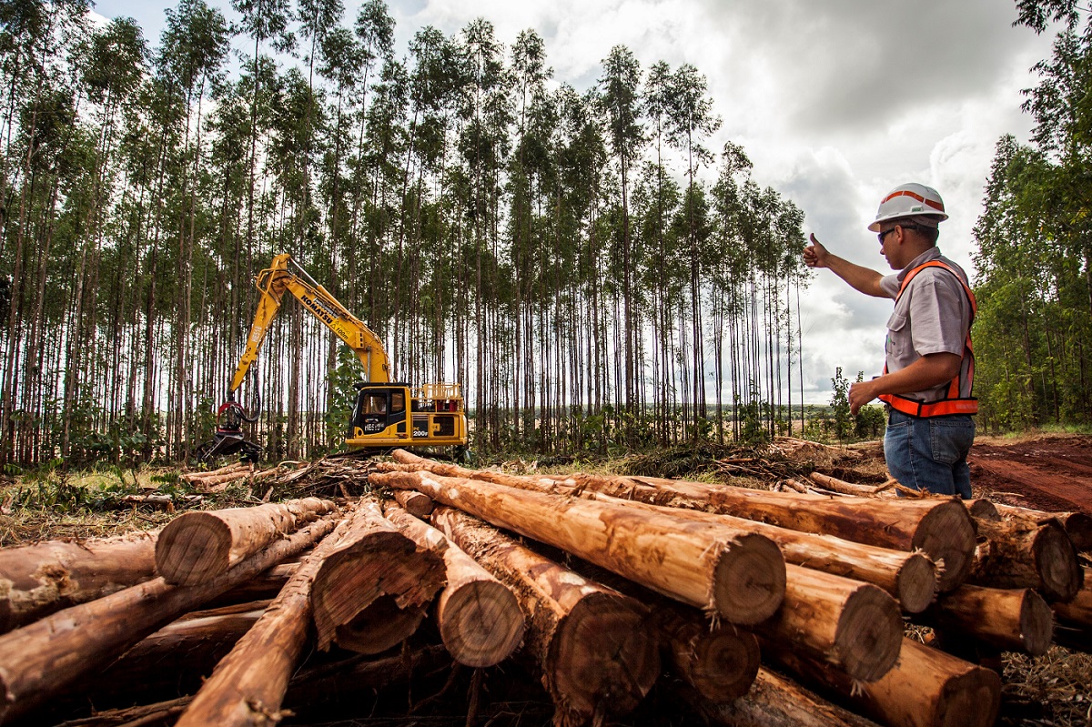 Suzano está com vaga aberta para Analista de Logística Sênior em Ribas do Rio Pardo (MS)