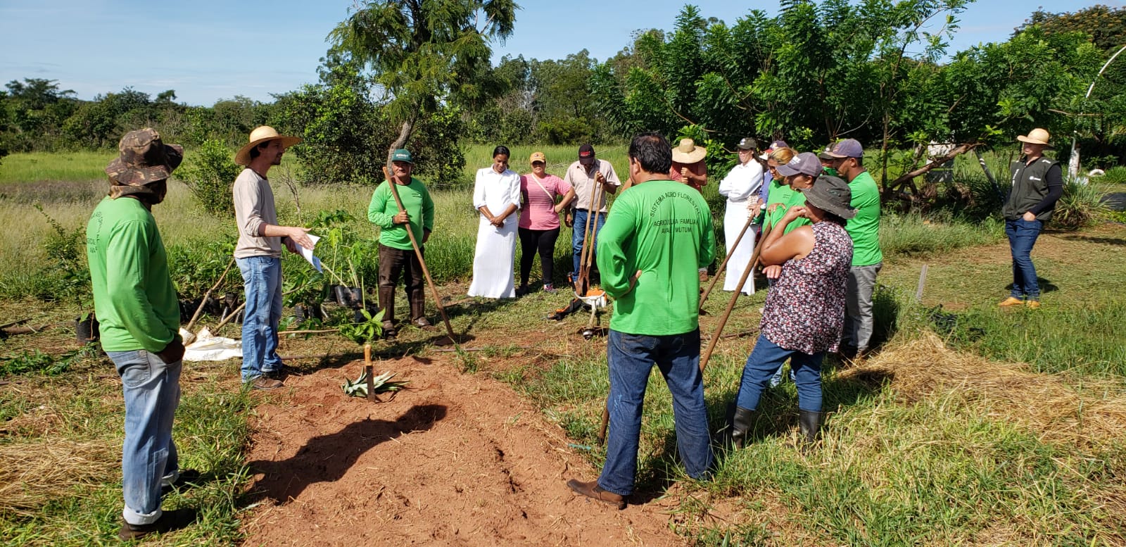 Com apoio da Suzano, 87 famílias de Ribas do Rio Pardo (MS) implementam Sistema Agroflorestal