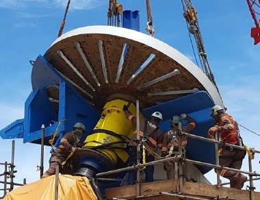 Boletim Projeto Cerrado edição 20 - Picador de madeira