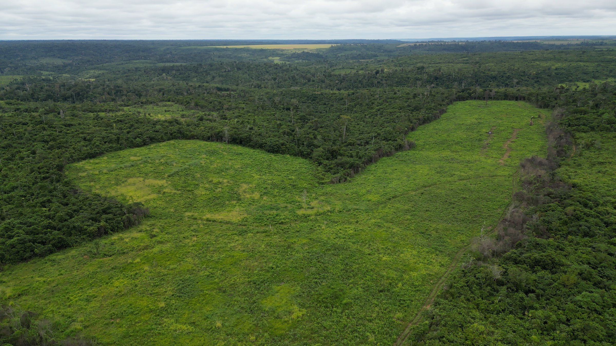 Suzano e Sofidel se unem em programa piloto para proteger a biodiversidade e apoiar comunidades locais na região Amazônica