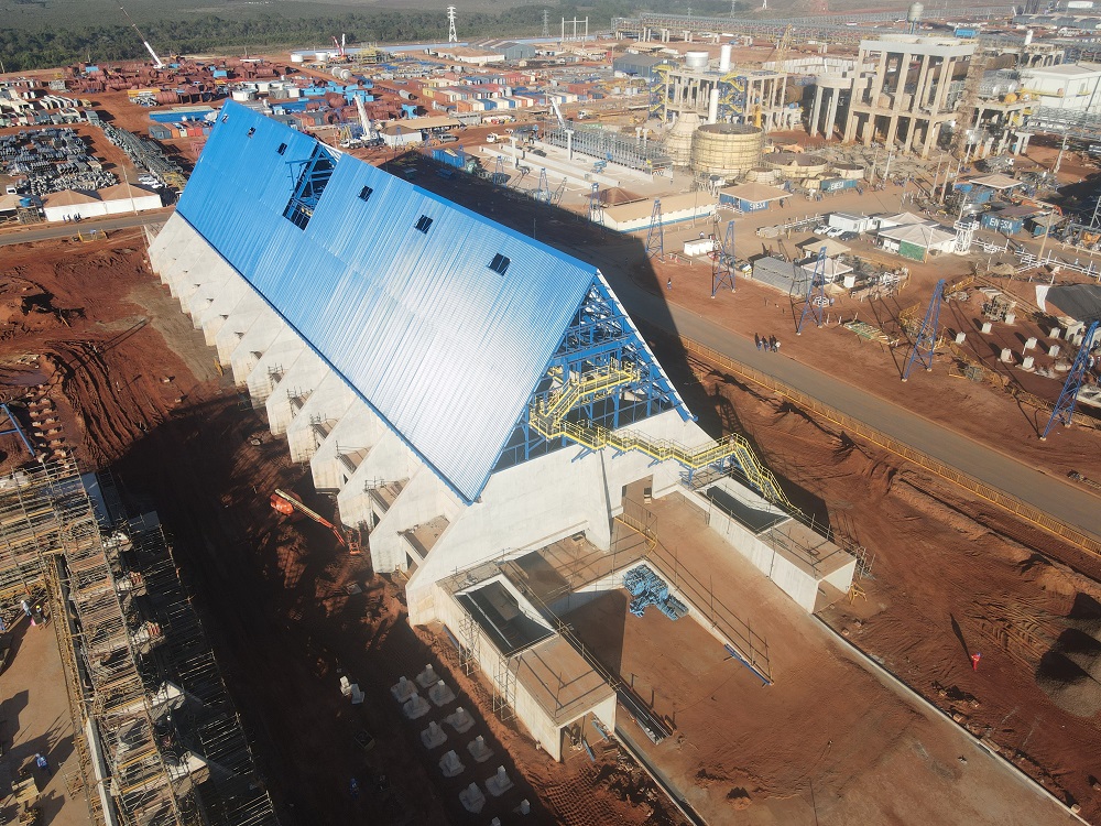 Boletim Projeto Cerrado ed. 22 - Catedral de biomassa