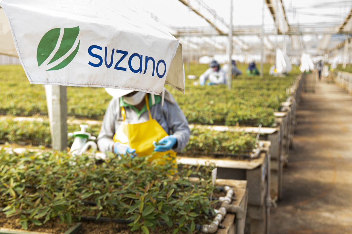 Suzano e Senai oferecem qualificação profissional para pessoas com deficiência em Ribas do Rio Pardo (MS)