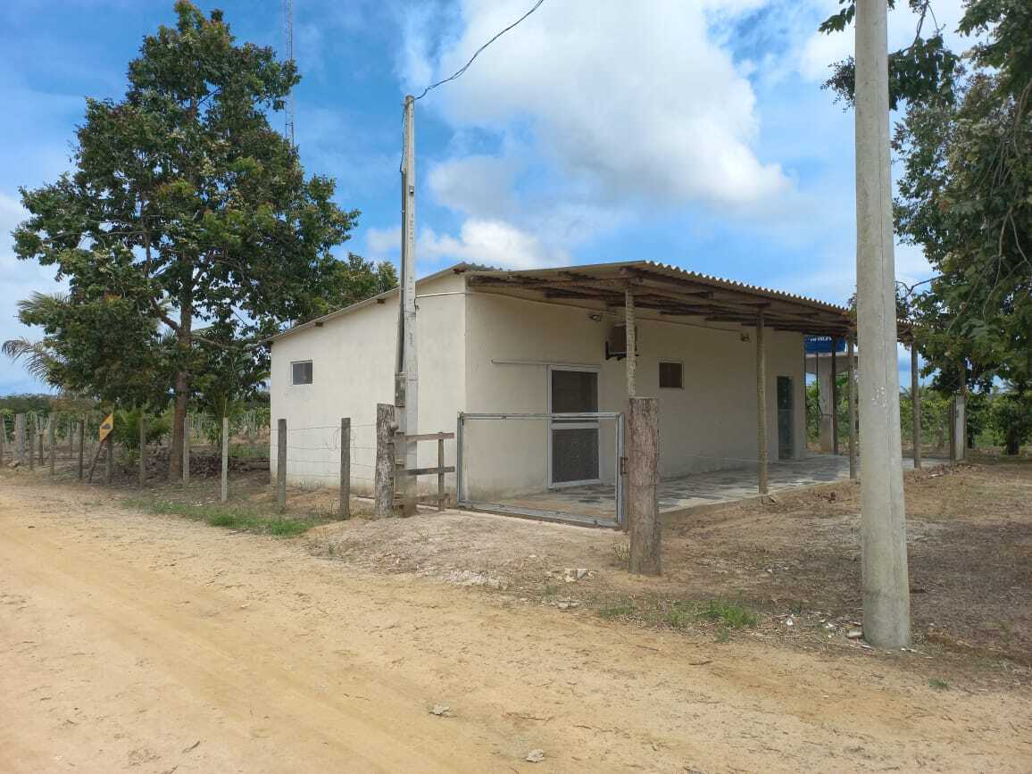 Casa do Mel apoiada pela Suzano se prepara para comercialização
