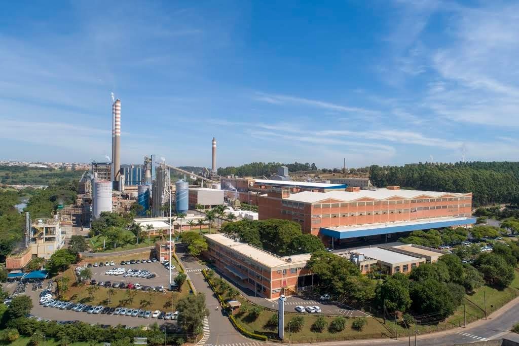 Suzano investe na produção de celulose fluff em Limeira (SP)