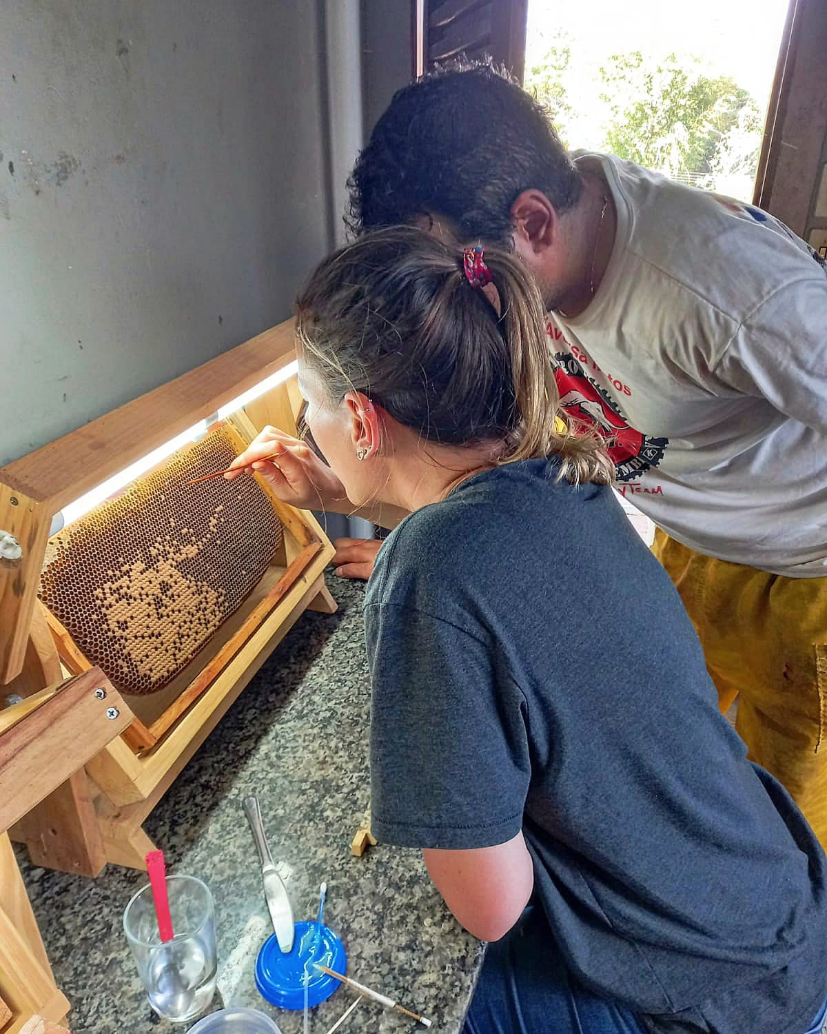 Suzano incentiva geração de renda e conservação da biodiversidade por meio da apicultura na região Oeste e Sul de São Paulo