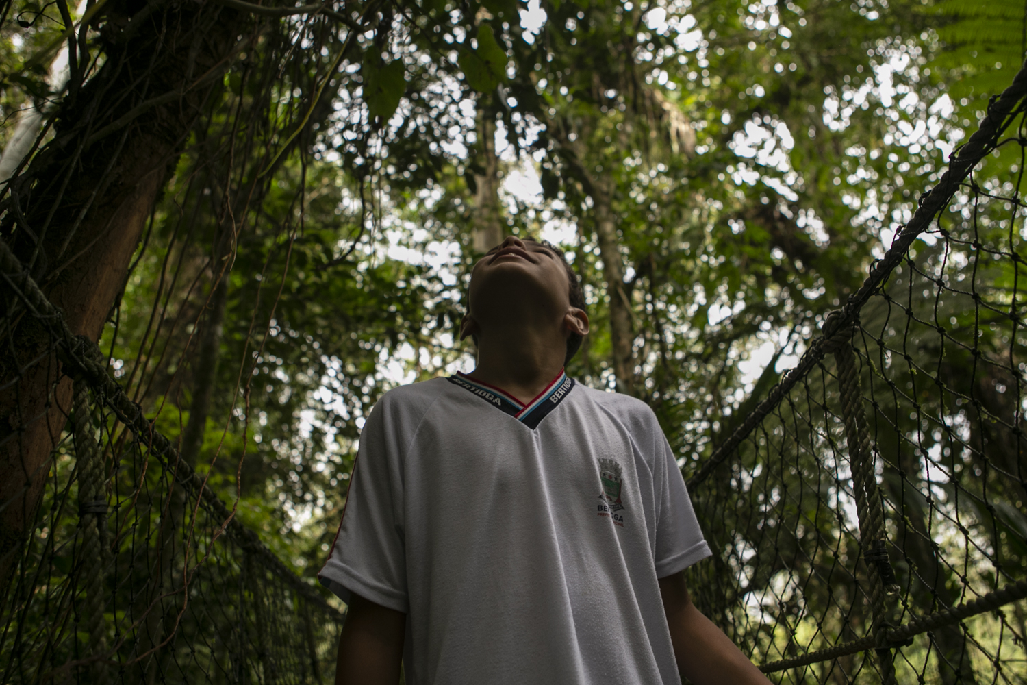 Criança olhando para cima em meio a uma floresta