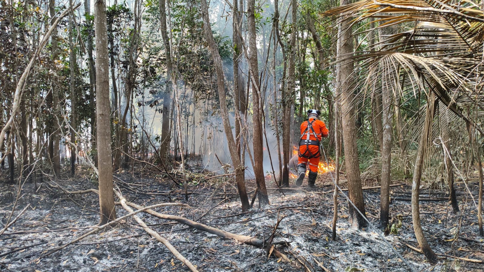 Focos de incêndio em vegetações no norte do ES mais que duplicaram nos dois primeiros meses de 2025