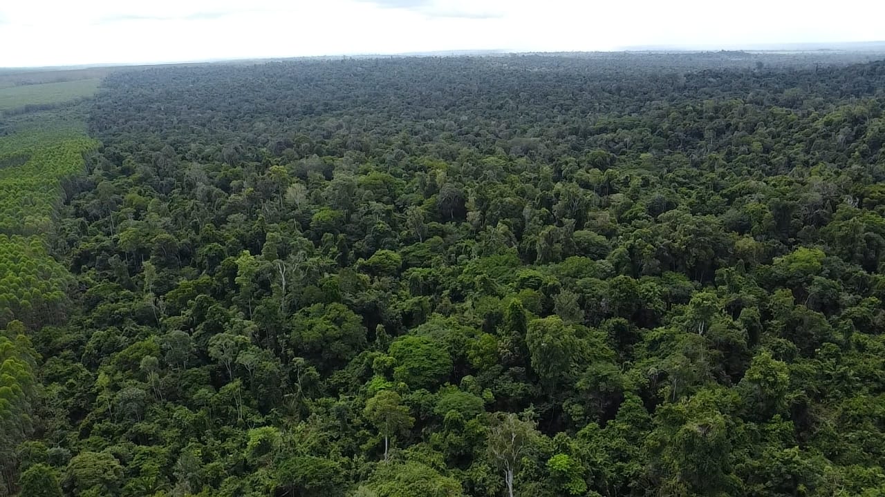 �������� reforça compromisso ambiental com corredores ecológicos na Amazônia