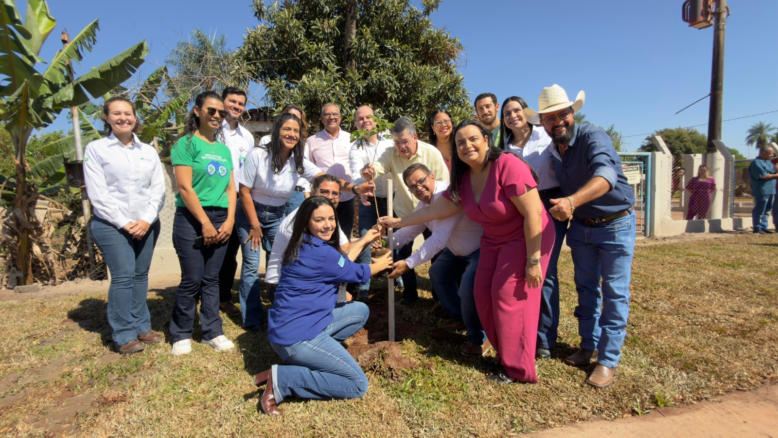 �������� doa mais de 700 mudas de ipês à Prefeitura de Ribas do Rio Pardo (MS)